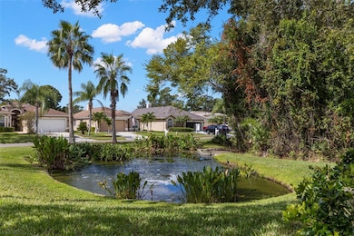 604 Kingsmill Ct, Oldsmar, FL 34677 - photo 5