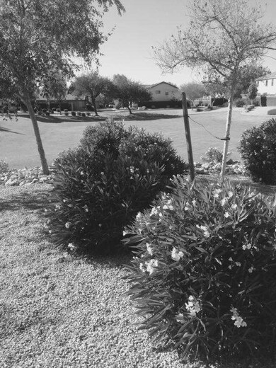 Community grassy area