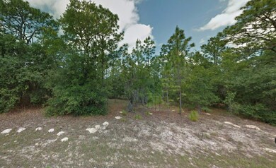 8116 N Triana Dr, Citrus Springs, FL 34434 - photo 5