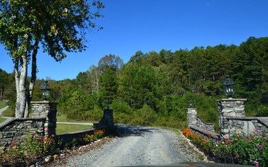 Additional View