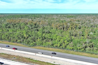 0 Everglades Pkwy, Naples, FL 34117 - photo 5