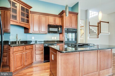 25118 Andes Terrace, Stone Ridge, VA 20105 - photo 2