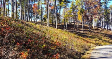 81 Timber Ridge Cir unit LOT 18, Leicester, NC 28748 - photo 4