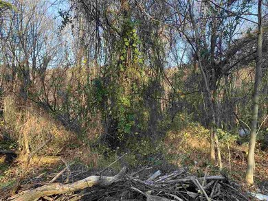 0 Whispering Ln, Stanley, VA 22851 - photo 4