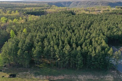 0 River Bluffs Jh 193 Dr unit RTC2721473, Jasper, TN 37347 - photo 4