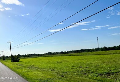 IMG_4253 (1)
