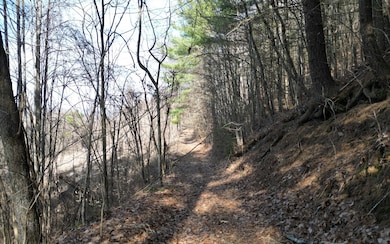 Additional View