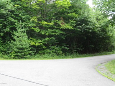 0 River Ct unit PM-62467, Pocono Lake, PA 18347 - photo 3