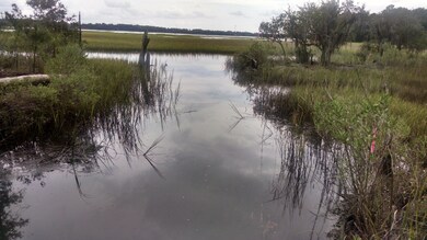 Davidson - tidal creek pictures (1)
