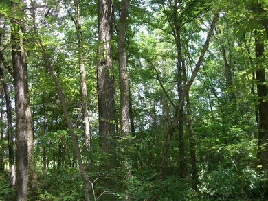 tbd N Chodikee Lake Rd, Highland, NY 12528 - photo 3