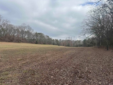 1687 Pearcy Rd, Pearcy, AR 71933 - photo 4