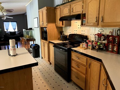 266 T-Model Jones Rd, Castalia, NC 27816 - photo 5