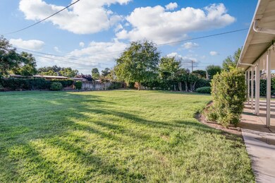 Huge backyard! Keep scrolling for more photos.