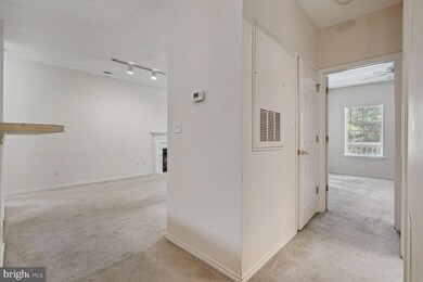 13070 Autumn Woods Way unit 202, Fairfax, VA 22033 - photo 7
