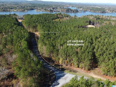 Lot 221 Shore Side Ln, Sylacauga, AL 35151 - photo 2