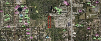 23744351_BrevardCounty