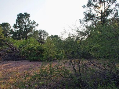 910 S Ridgeway St unit 35, Payson, AZ 85541 - photo 2