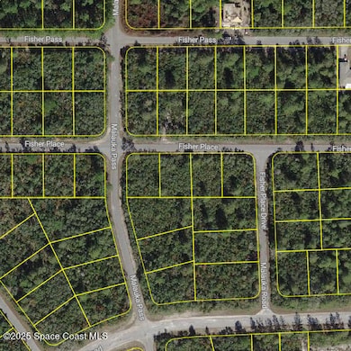 0 Fisher Place unit 1062679, Ocala, FL 34488 - photo 5