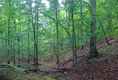 BigRidge_40-07