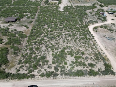 0 Camino Del Este unit 20253214, Laredo, TX 78043 - photo 7