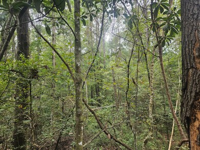 153-63 Houston Rd, Mount Olive, MS 39119 - photo 7