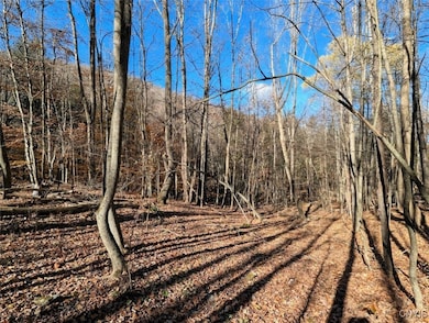 0 County Road 126, Greenwood, NY 14839 - photo 5