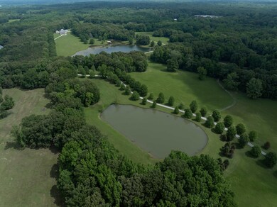 2625 U S 64, Hickory Withe, TN 38028 - photo 6