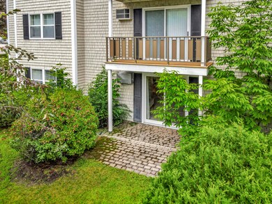 32_DJI_0310_DxO_mls