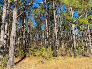 40 Ac Sally Parker Rd, Lucedale, MS 39452 - photo 5