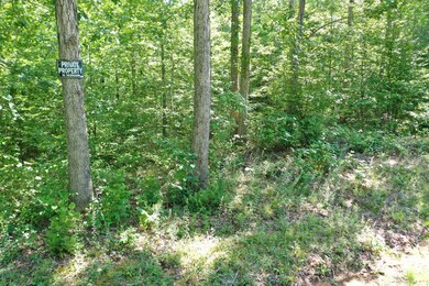 1921 McGee Rd, Linden, TN 37096 - photo 6