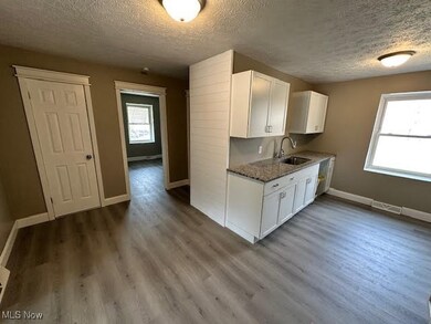 1539 Mount Carmel Dr, Wickliffe, OH 44092 - photo 2