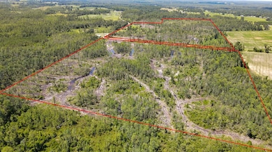 1217 SW Caleb Ave, Madison, FL 32340 - photo 5