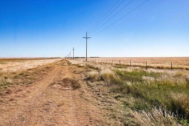 0 Highway 60, Panhandle, TX 79068 - photo 4