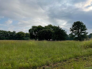 IMG_0917