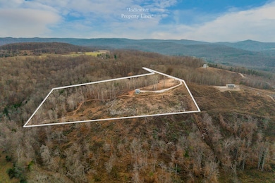 431 Bald Knob Mountain and Cummings Cove Rd, Doyle, TN 38559 - photo 5