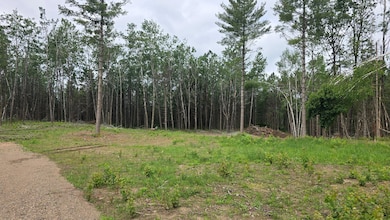 ON County Highway B unit 2 Acres, Summit Lake, WI 54485 - photo 4