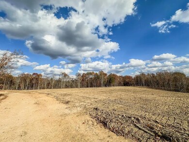 0 Firetower Rd unit 1, Centerville, TN 37033 - photo 4