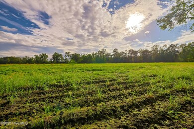 2 515 Porter Swamp Rd, Cerro Gordo, NC 28430 - photo 7