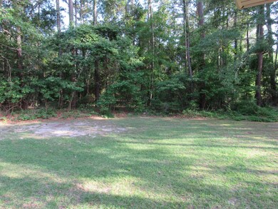 006 Back Yard