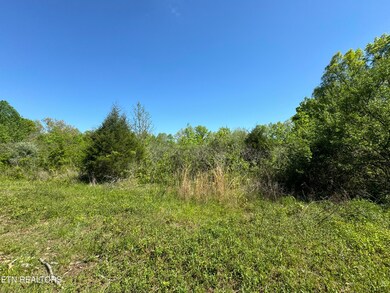 IMG_0908