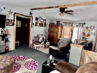 27 Delaware Dr, Sparrow Bush, NY 12780 - photo 6