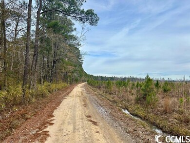 0 Craven Rd, Marion, SC 29571 - photo 4