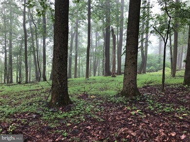 LOT 37 Adelaide Cir, Kabletown, WV 25425 - photo 4