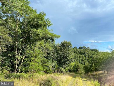 0 Upland Trail unit WVMO2002074, Berkeley Springs, WV 25411 - photo 7