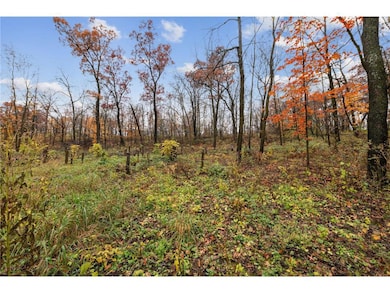 XXXX 100th Street St, Roberts, WI 54023 - photo 4