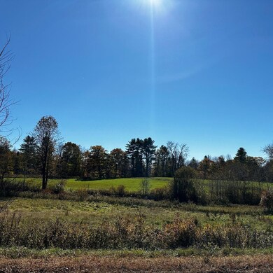 Land Pic 2