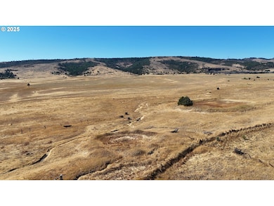 79210 Back Walters Rd, Maupin, OR 97037 - photo 3