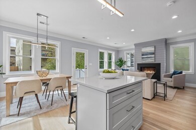 147 Williams St unit 2, Boston, MA 02130 - photo 7