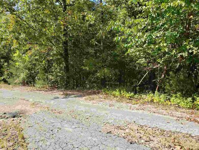 L-35, 36, B-7 Pahokee Dr, Cherokee Village, AR 72529 - photo 2