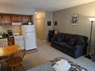 36 Lodge Rd unit D115, Lincoln, NH 03251 - photo 5